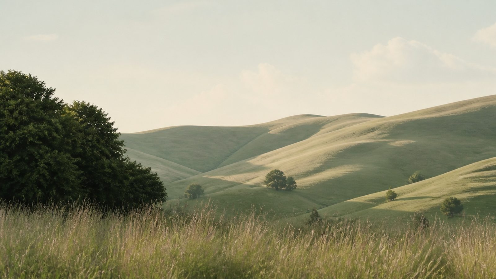 A sunlit open meadow with soft rolling hills under a pale sky