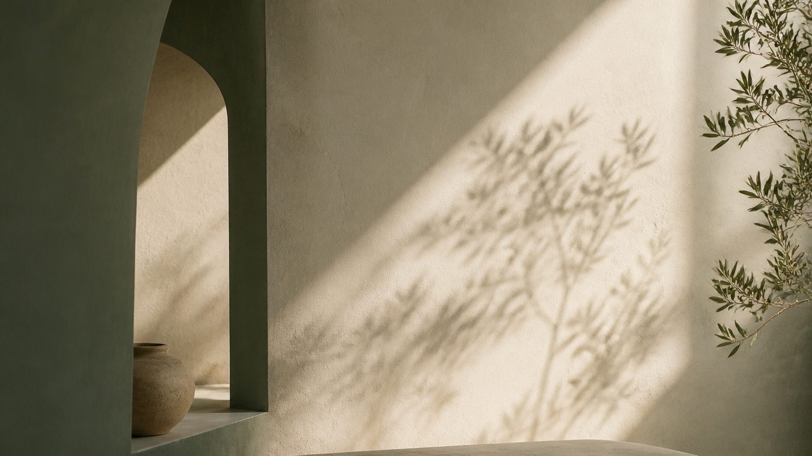Soft daylight across a plain plaster wall with the shadow of a plant